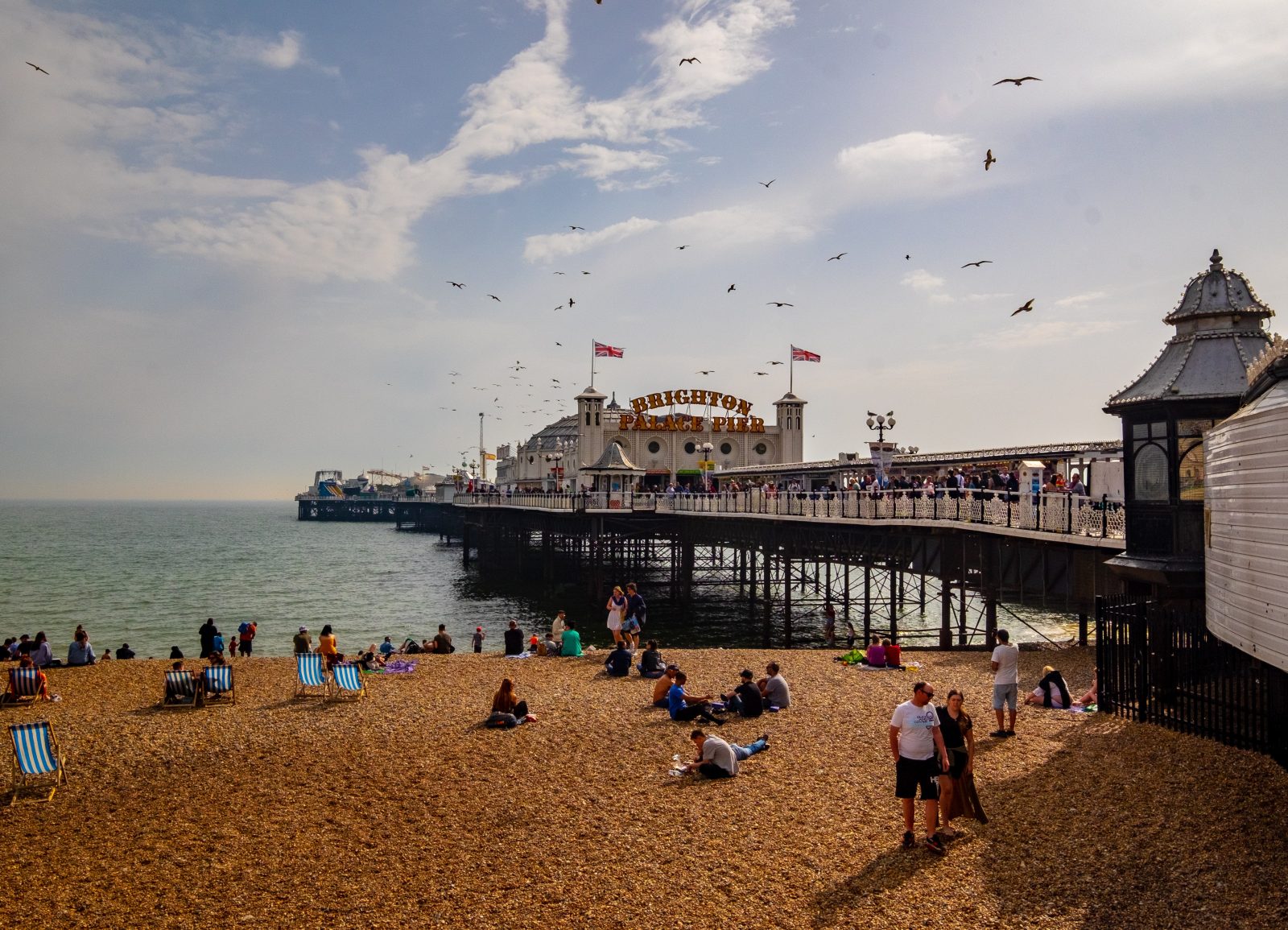 A photo of Brighton pier, Tillr's new office location